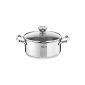 Tefal A70544 Duetto saucepan 20 cm, suitable for induction (household goods)