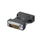 Adapter DVI Male to 15 pin HD connectors (VGA) (Accessories)