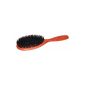 Hairbrush plate - boar bristles (Health and Beauty)