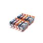10 cartridges with Canon Pixma iP3600 iP4600 CHIP MP540 MP620 MP630 MP980 MP 540 620 630 980 3600 4600 IP (Electronics)