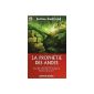The Celestine Prophecy - if coincidences revealed the meaning of life?  (Paperback)