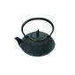 Beka 16409124 Teapot cast iron black color all hobs + induction with filter (Kitchen)