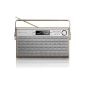 Philips AE5220 / 12 portable radio (digital FM tuner, DAB +, battery / mains operation, 6W RMS) silver / brown (Electronics)