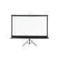 Beamerleinwand home theater with tripod 221x125cm (254cm screen size / 100Zoll) HDTV / 3D compatible (Electronics)