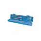Silverline - 633750 - Case drills and chisels SDS-plus - 12 Pack (Tools & Accessories)