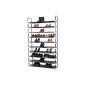 Songmics XXL 10 levels shoe rack for 50 pairs of shoes shoe cabinet Black 100 x 29 x 175 cm LSR10H