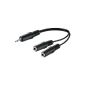 Wentronic Audio / Video cable (3.5mm stereo plug to 2x 3.5mm mono connector) 0.2 m (accessories)