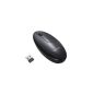 Sony Vaio VGPWMS21 / B Wireless shapely Laser Mouse with USB Dongle, black (Accessories)