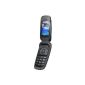Samsung E1310 mobile phone (WAP, Bluetooth) absolute-black (Electronics)