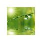 Euro Graphics DG-DT1066 glass image Deco Glass A New Day Breaks?  30 x 30 cm (Misc.)