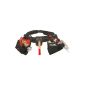 Plano PL52200 Belt professional tool holders (UK Import) (Tools & Accessories)