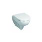 . Keramag Renova No. 1 wall-mounted toilet white;  WC pan (Misc.)