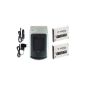 Charger + 2 batteries for Sony HX20V
