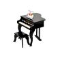 ts-5238 Mini ideen Piano Black (Electronics)
