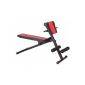 Sport Plus training bench for sit ups back and free weight training, SP-SUB-018 (equipment)