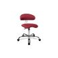 Topstar ST290W51 Fitness stool with back support Sitness 40, fabric cover, red (household goods)
