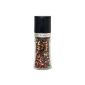 Peppermill salt mill spice mill dry with ceramic grinder in gift packaging - 150ml - Height 16cm - black with stainless steel (houseware)