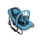 Baby rocker HIPPO Baby Carrier Baby Swing Swing Swing Seat (+ play arch) in blue and pink (Baby Product)