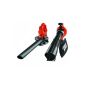 Black & Decker GW2200 Blower Vacuum crusher 2200 W (Tools & Accessories)
