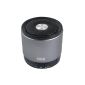 August MS425S - portable Bluetooth speaker with microphone - strong cordless speaker and speakerphone for mobile phones - Compatible with iPhones, Samsung, Galaxy, Nokia, HTC, Blackberry, Google, LG, Nexus, iPad, tablets, smartphones, PCs, laptops etc. - ( Silver) (Electronics)