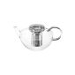 Trendglas Jena Teapot Opus in simple aesthetics with stainless steel, 1.2 L (household goods)