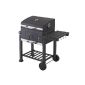 Tepro Toronto charcoal grill (garden products)