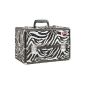 Beautify Magnificent professional aluminum suitcase for Cosmetics accessories Zebra pattern (Health and Beauty)