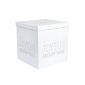 SANTEX 4012-1, Moneybox, urn Birthday, White (Toy)