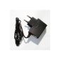 Travel Charger for LG KU800 - KU970 - Viewty KU990 - L600v - U300 (Electronics)