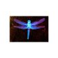 Solar iclever®Décoration Dragonflies Multicolored bright with waterproof material (Electronics)