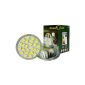 Energybrite mr16 5w 12v LED bulb 480-lumens-24x 5050 SMD LED's-gu5.3 warm white 3000k - 120º angle-beam à50à - same size as 50mm halogen bulb, special offers available (Kitchen)