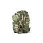 Army Military Camouflage Backpack US Assault MOLLE pack 50L Central Europe (CE) (Others)