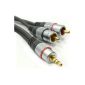 HQ Ultra Pure Oxygen Free Copper Jack To 2 RCA phono cable with Ferrite Cord 3 m (Electronics)