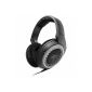 Sennheiser HD 439 headphones Easy Iron (Electronics)