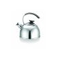 A kettle to look nice, but not very practical