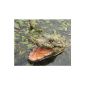 Floating Animal Head crocodile with its mouth open, Dimensions: 27x15x15cm