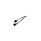 Bulk CABLE-268 Power Cable Y S-Ata (Accessory)