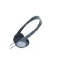 Panasonic RP-HT090E-H headphones gray (Electronics)