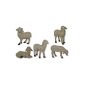 RAYHER - 56627000 - polyresin sheep 5tlg for 7-10cm figures, SB-Box (household goods)