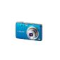 Panasonic Lumix DMC-FS40EF-A 14.1 Megapixel Digital Camera Blue (Electronics)