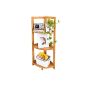 SoBuy shelf, corner shelf, folding shelf, bamboo shelf, Exclusiv.  95x30x30 cm FRG14