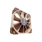 Noctua NF-F12 PWM fan, cooler and radiator (Personal Computers)