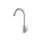 Auralum® Elegant mixer tap kitchen faucet 360 ° Pivoting faucet apparatus for kitchen sinks (Misc.)