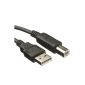 1.8m USB 2.0 Cable A Male / B Male Black (Electronics)