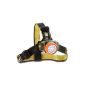Scout Headlamp (Toys)
