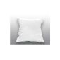 Sun Tan 553800 Pillow Pillow New White 65 x 65 cm (Kitchen)