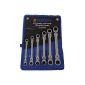 Articulated dual Ring Ratcheting Wrench Set 6 pcs 8-19mm ratchet set (Misc.)