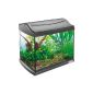Tetra 171855 AquaArt Shrimps Aquarium Complete Set 20L, ideal for keeping and breeding shrimp, anthracite (Misc.)