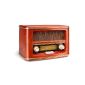 Dual NR 1 Nostalgie Radio (FM / AM tuner, frequency scale, wooden cabinet, volume control) Brown (Electronics)