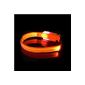 CuteEdison® Bright LED Dog Collar With A Height Adjustable (Orange) (Electronics)